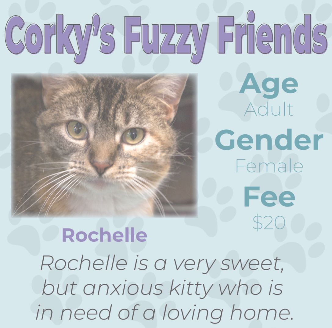 Corky’s Fuzzy Friends